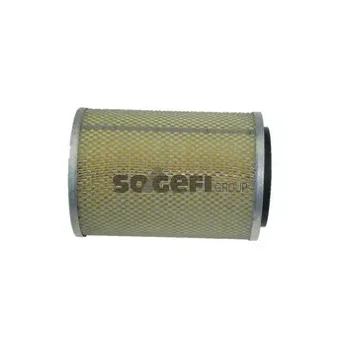 FRAM CA4219