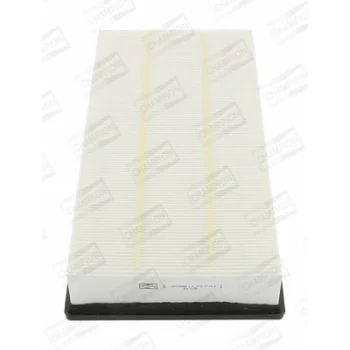 CHAMPION CAF100808P