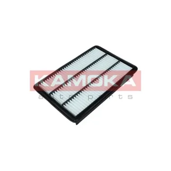KAMOKA F249801