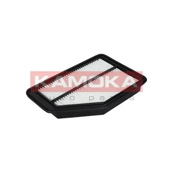 KAMOKA F225801