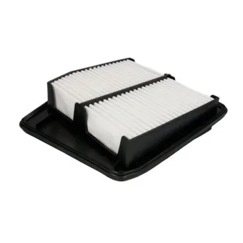 JC PREMIUM B24070PR