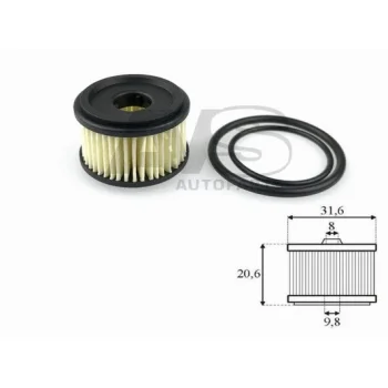 AVS AUTOPARTS G106K