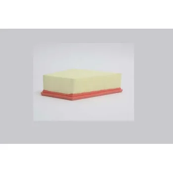 STEP FILTERS AE6910