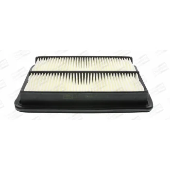 CHAMPION CAF100731P