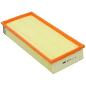 Fram-Au CA11100