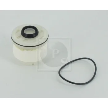 NPS T133A31