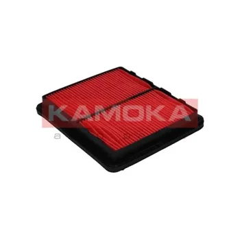 KAMOKA F207601