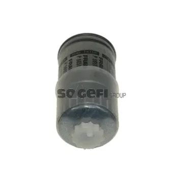FRAM P5651