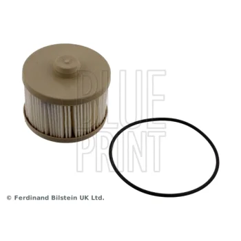 BLUE PRINT ADBP230006