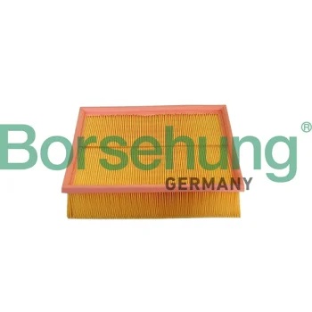 Borsehung B10545