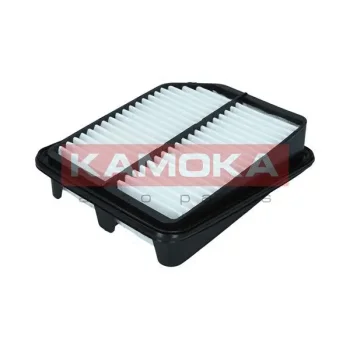 KAMOKA F249901