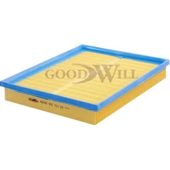 GOODWILL AG 250