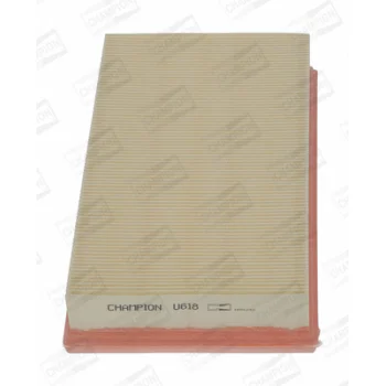 CHAMPION CAF100618P
