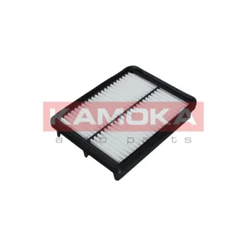 KAMOKA F239101