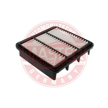 MASTER-SPORT GERMANY 2029-LF-PCS-MS