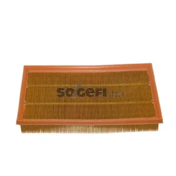 FRAM CA8779