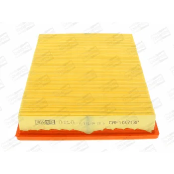 CHAMPION CAF100718P