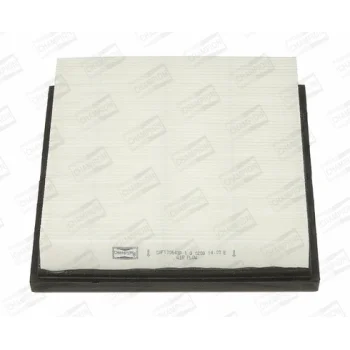 CHAMPION CAF100643P