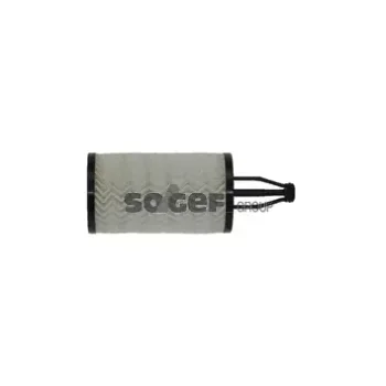 FRAM CH11060