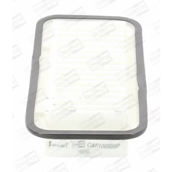 CHAMPION CAF100809P