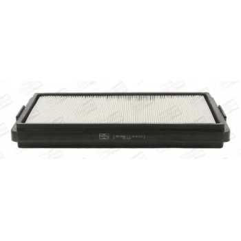 CHAMPION CAF100504P