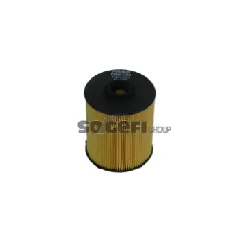 FRAM C8981ECO