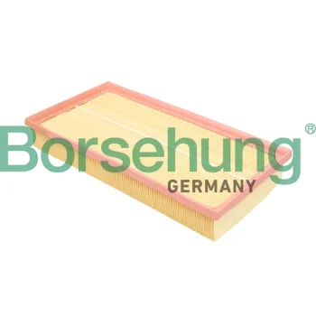 Borsehung B18293