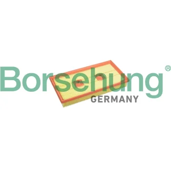Borsehung B10542