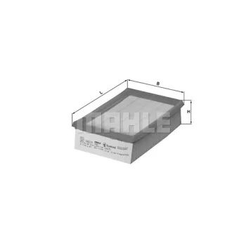 WILMINK GROUP WG1216532