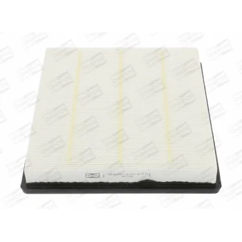 CHAMPION CAF100954P