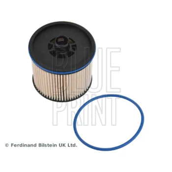 BLUE PRINT ADBP230033
