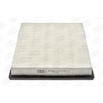 CHAMPION CAF100666P