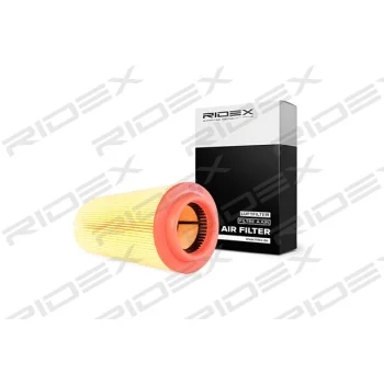 RIDEX 8A0060