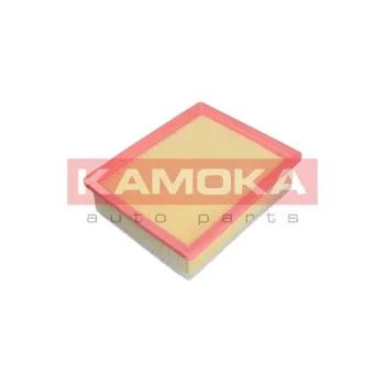 KAMOKA F240101