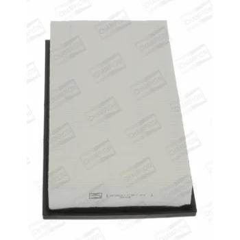 CHAMPION CAF100561P