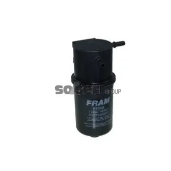 Fram-Au P11238