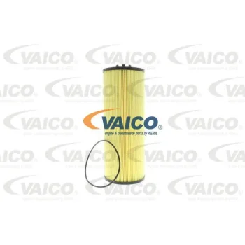 VAICO V31-1013