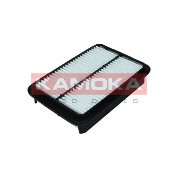 KAMOKA F249001