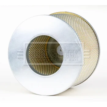 BORG & BECK BFA2404