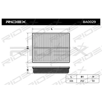 RIDEX 8A0029
