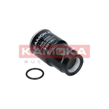 KAMOKA F301301