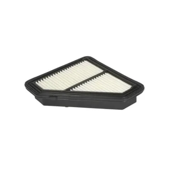 JC PREMIUM B24082PR