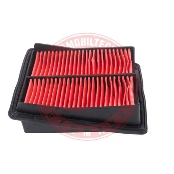 MASTER-SPORT GERMANY 1724-LF-PCS-MS