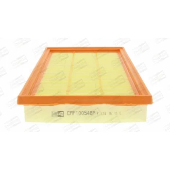 CHAMPION CAF100548P