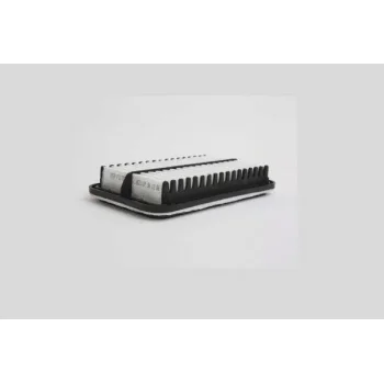 STEP FILTERS AE21107