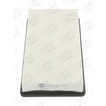 CHAMPION CAF100506P