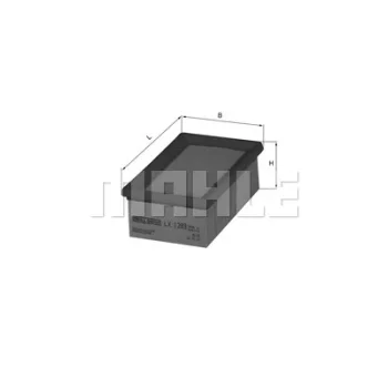 WILMINK GROUP WG1215896