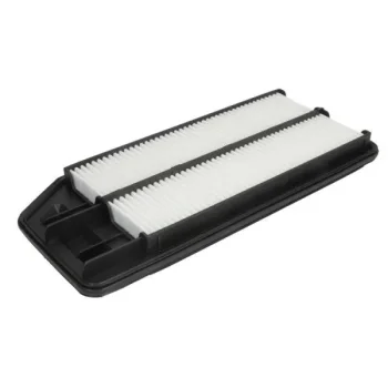 JC PREMIUM B24053PR