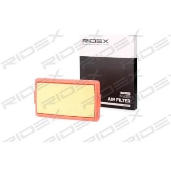 RIDEX 8A0379