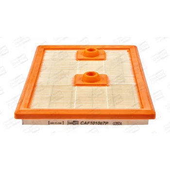 CHAMPION CAF101067P